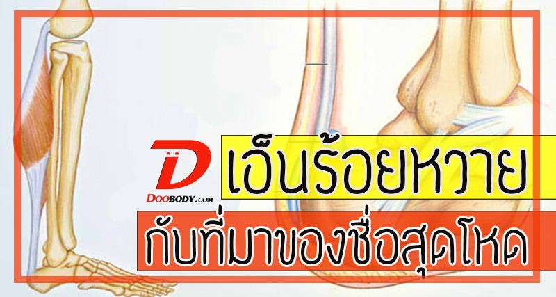เอ็นร้อยหวาย กับที่มาของชื่อสุดโหด