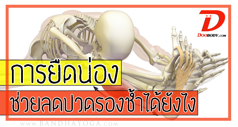 ทำไมยืดกล้ามเนื้อน่อง ถึงช่วยลดปวดจากโรครองชํ้าได้ เรามีคำอธิบายง่ายๆ