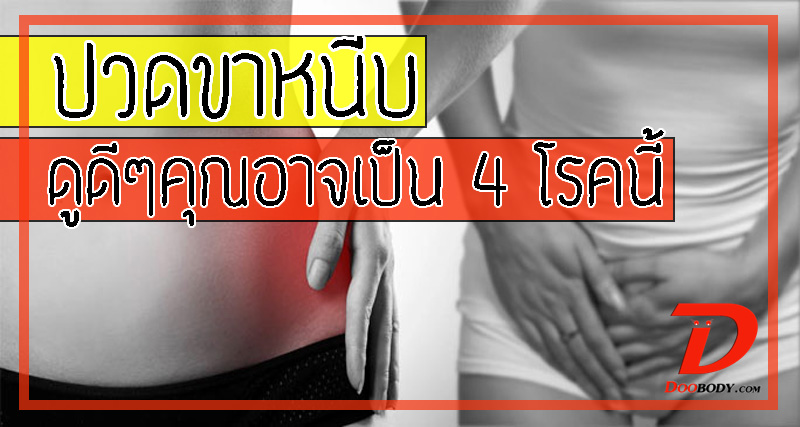 ปวดขาหนีบ  ดูดีๆอาจเป็น 1 ใน 4  โรคนี้แล้วก็ได้